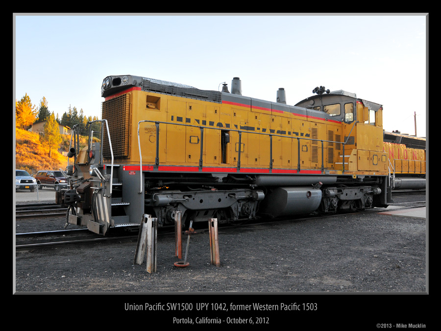 DSC_9659_WP_1503.jpg