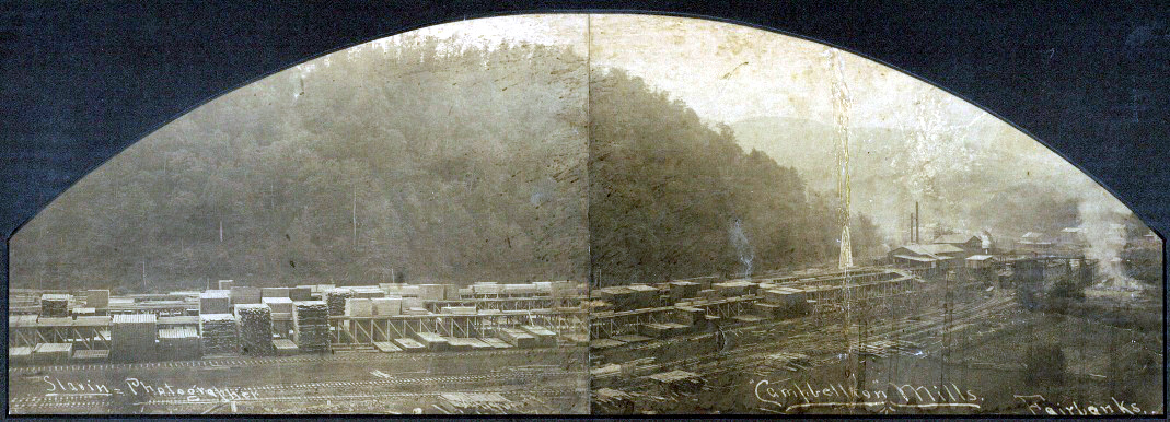 mystery logging small-1.jpg