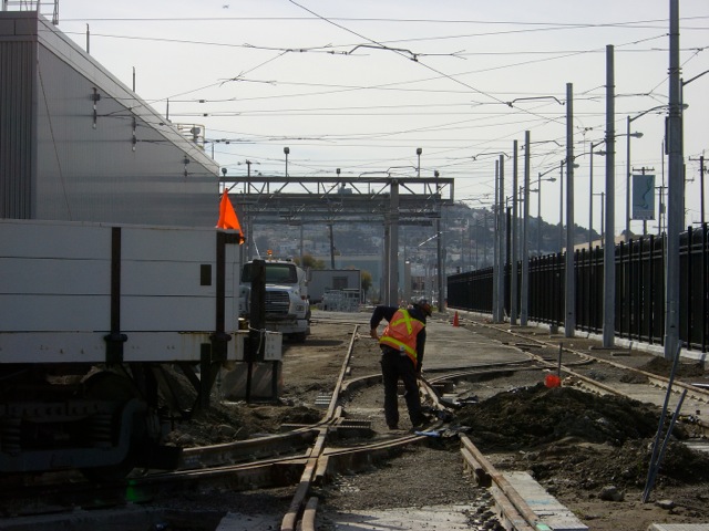 CIMG3533.jpg