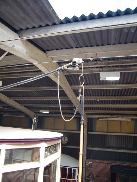 CIMG6782.jpg