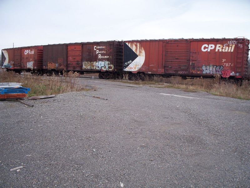 100_3244sm.jpg