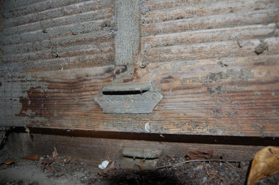 Pic8.jpg