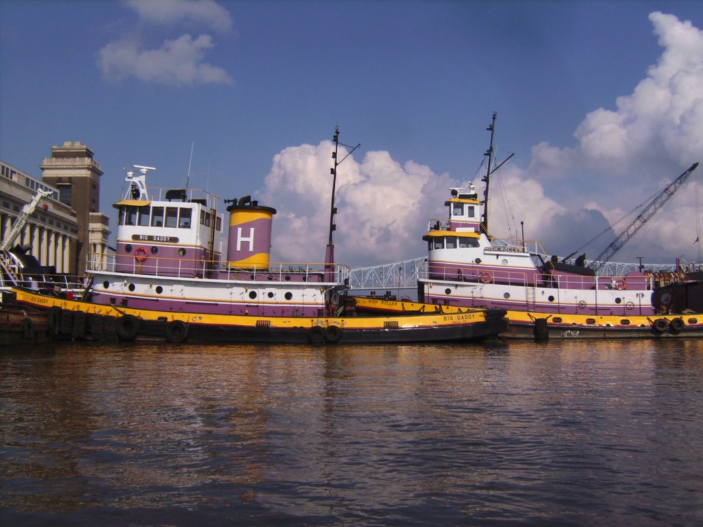 SANY1416.JPG