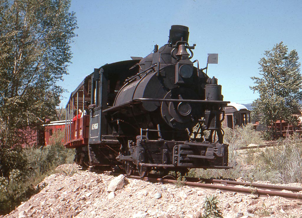 Alder4.jpg