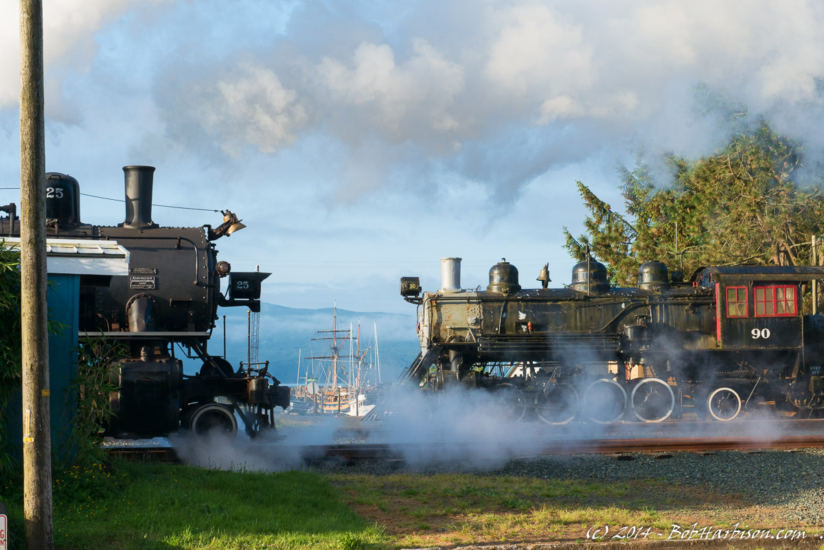DSC_1079-Edit-1.JPG