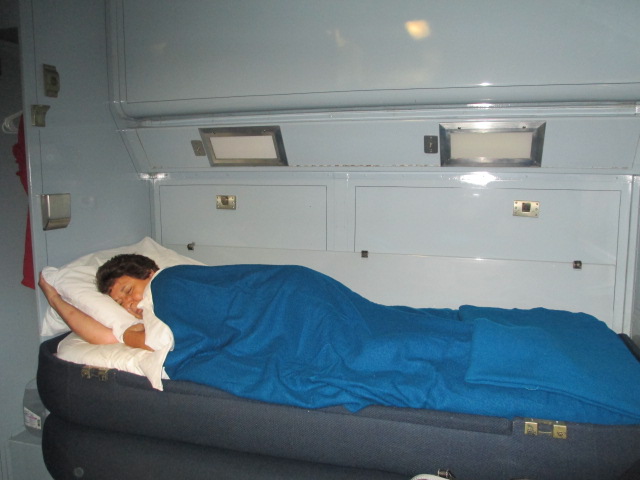 Coquis snug as a bug.JPG