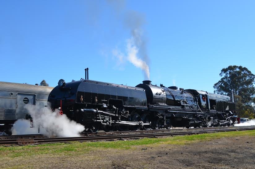 6029 x 1.jpg