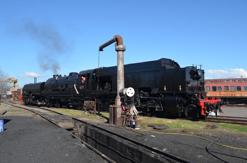 6029 x 3.jpg