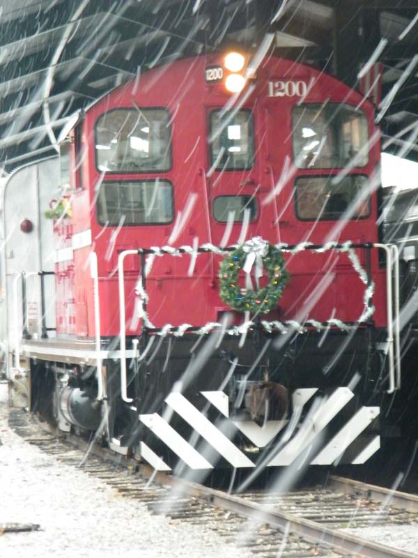 1200 Xmas09.jpg