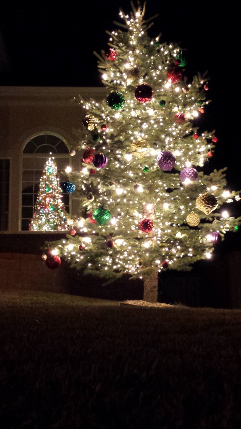 Christmas Tree.jpg