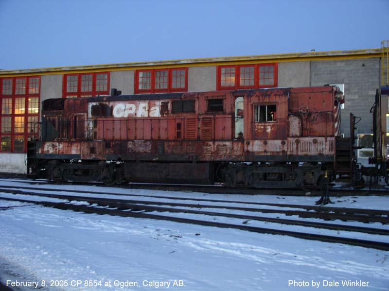 CP 8554 1.jpg