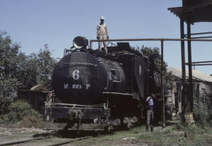Click on image to enlarge. Photo by Sammy King.