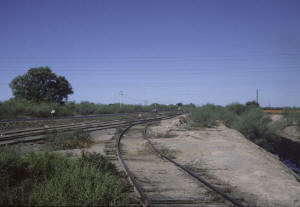 Click on image to enlarge. Photo by Sammy King.
