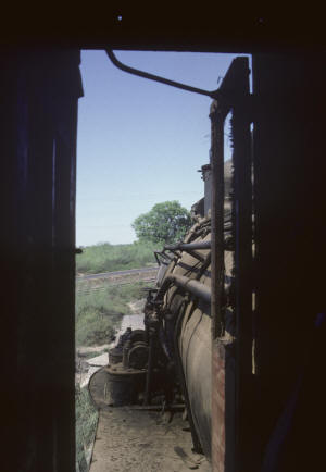 Click on image to enlarge. Photo by Sammy King.