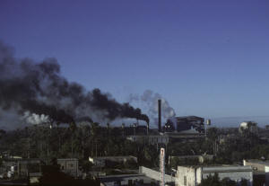 Click on image to enlarge. Photo by Sammy King.