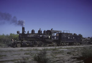 Click on image to enlarge. Photo by Sammy King.