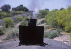 Click on image to enlarge. Photo by Sammy King.