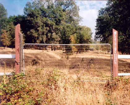 Click on image to enlarge.