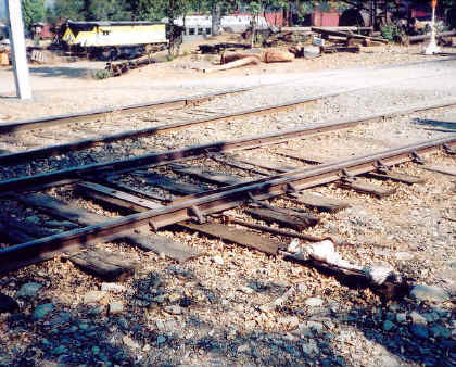 Click on image to enlarge.