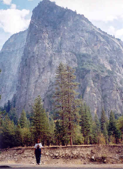 Click on image to enlarge.